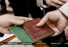 В Гомельской области в 2017 году при содействии службы занятости трудоустроено более 30 тыс.