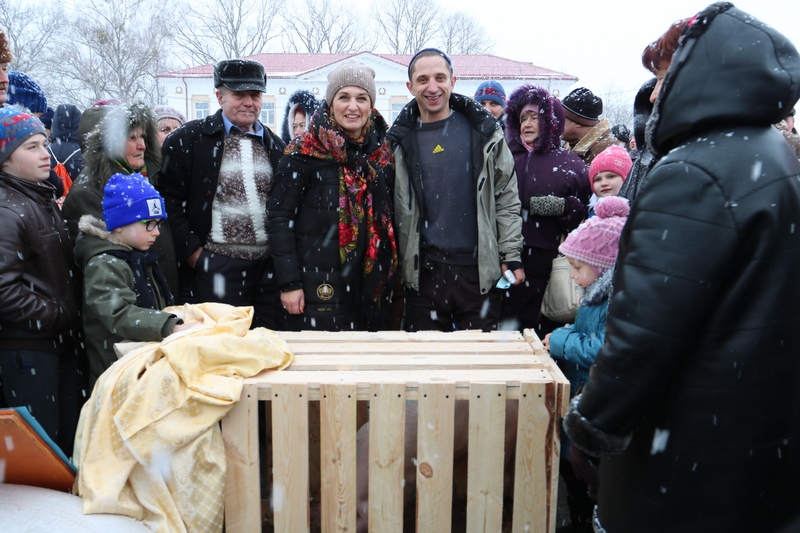 приз, поросёнок