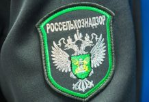 Россельхознадзор планирует с 3 по 6 апреля проинспектировать белорусские предприятия