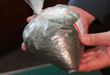 Гомельские таможенники изъяли 950 г насвая