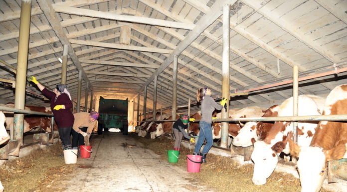 санстанция, порядок, ферма, сельхозпредприятия