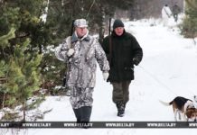 В Беларуси упрощаются условия ведения охотничьего хозяйства и охоты