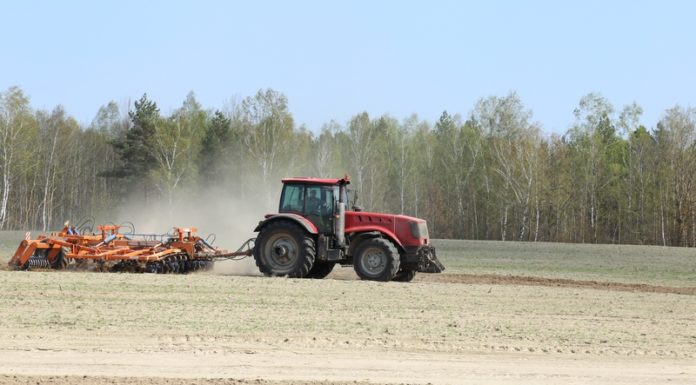 лельчицы, посевная, весна, работы