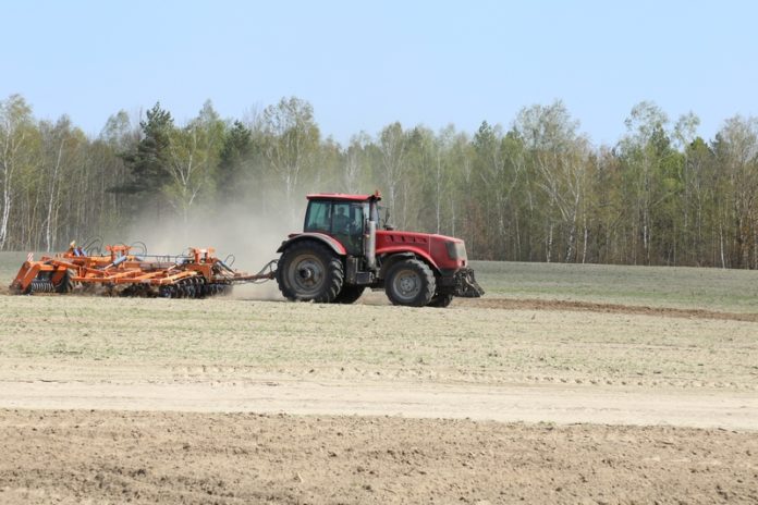 лельчицы, посевная, весна, работы