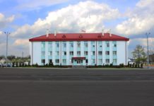 Лельчицы за неделю