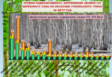 В Милошевичском лесхозе работает пост радиационного контроля