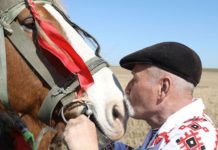 Ранние яровые в Беларуси посеяны на 93,1% площадей