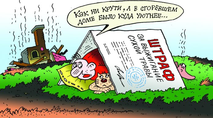 карикатура