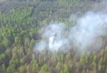 Авиация МЧС за сутки обнаружила 4 лесных пожара в Гомельской области