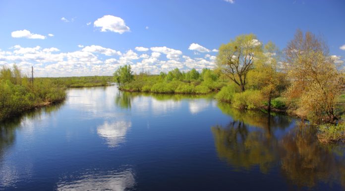 Уровень воды в большинстве рек страны снижается — Белгидромет Уборть, река