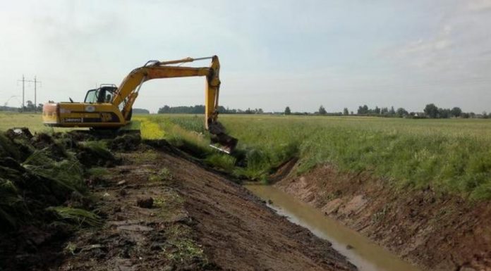 мелиорация, пмс, осушение, орошение, лельчицы