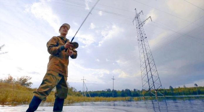 электробезопасность, линии, рыбалка, лето