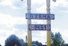 В районе Букчи появится новая лесохозяйственная дорога