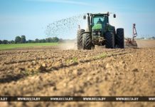 Минсельхозпрод утвердил план проведения осенних полевых работ