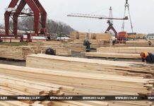 Два цеха деревообработки планируют открыть в проданных на аукционе зданиях в Гомельской области дерево