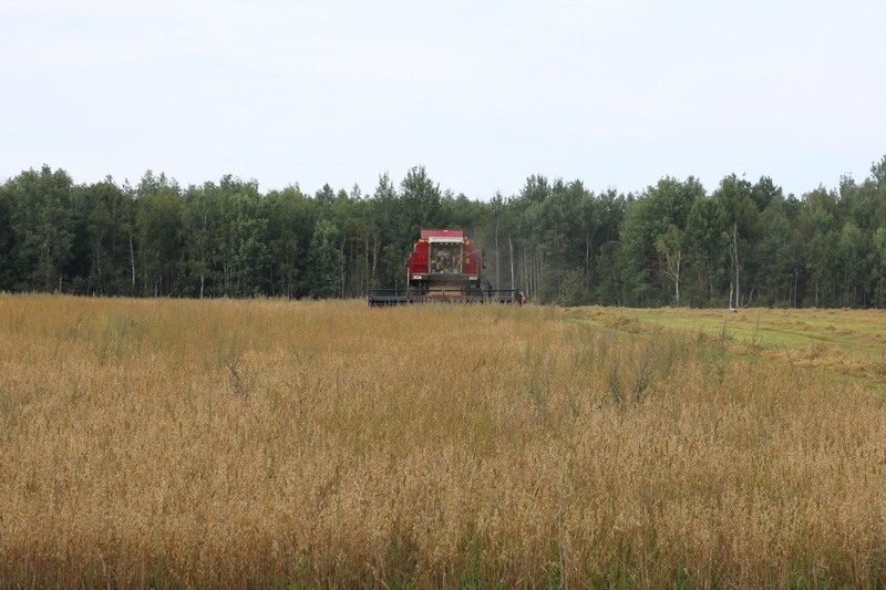 уборочная, подарки, люди, профсоюз