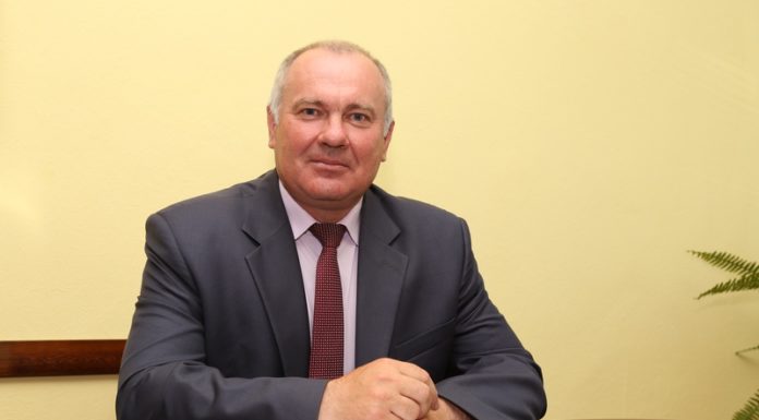 Гриб, образование, Лельчицы