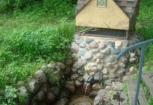 Акцию по обустройству родников проводят в Гомельской области