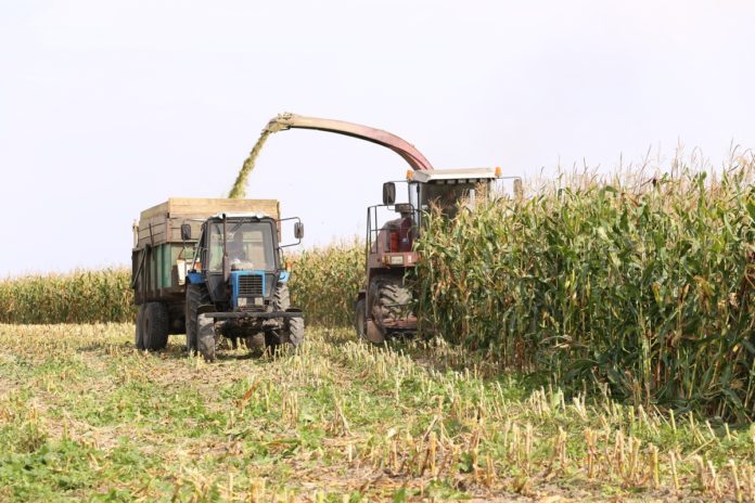 кукуруза, люди, награждение, председатель, профсоюзы