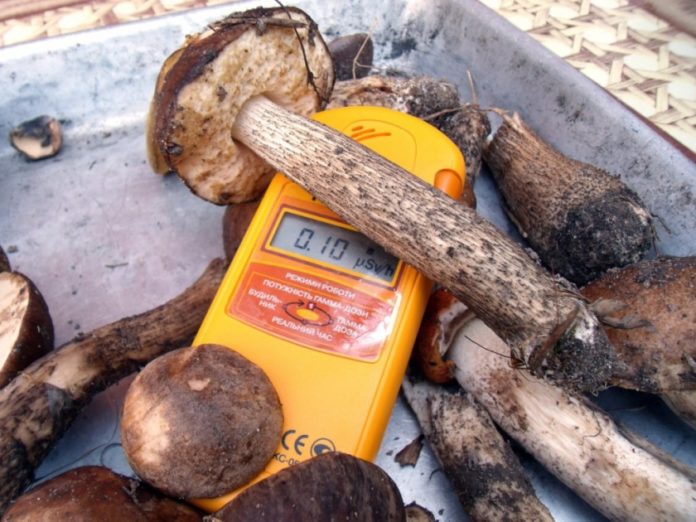 грибы, ягоды., радиация