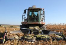 ОАО «Лельчицкий агросервис» в лидерах по уборке кукурузы на силос