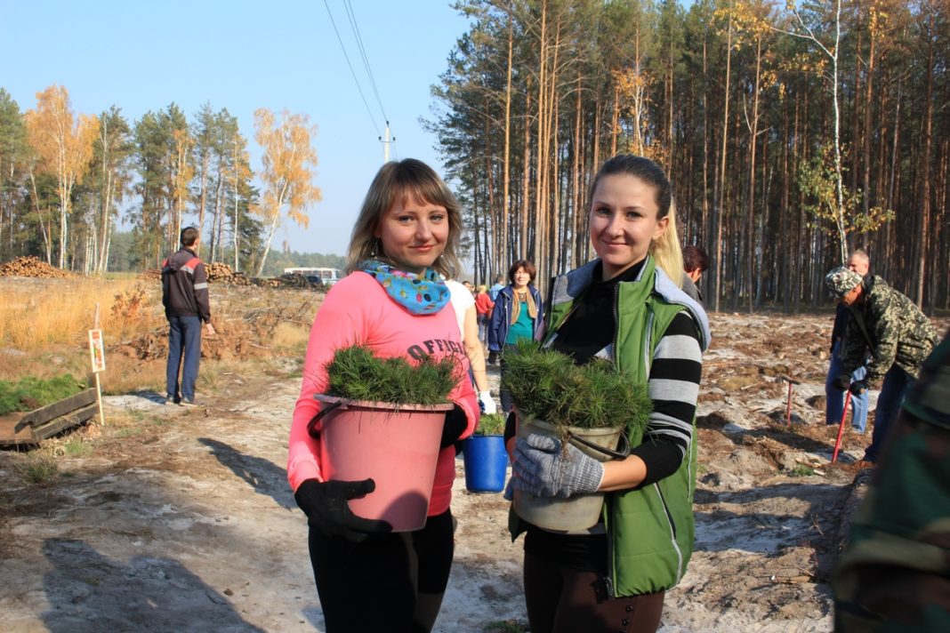 лес, акция, лельчицы, посадка, лесхоз