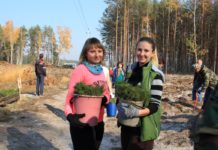Акция «Чистый лес»: в Лельчицком районе возобновляют леса лес, акция, лельчицы, посадка, лесхоз