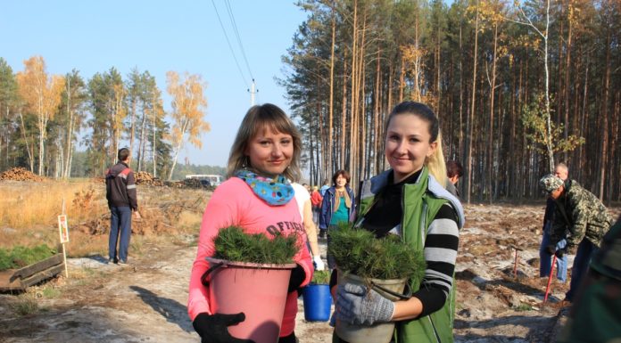 лес, акция, лельчицы, посадка, лесхоз