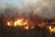 милошевичи, пожар, граница, украина, люди, безопасность