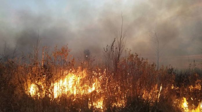 милошевичи, пожар, граница, украина, люди, безопасность