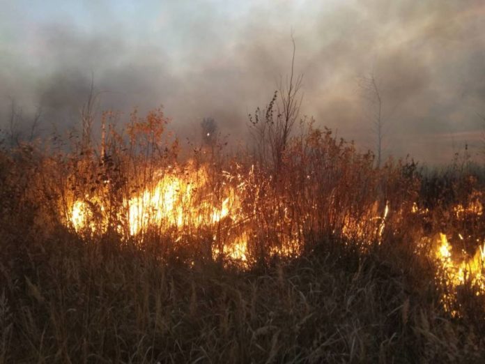 милошевичи, пожар, граница, украина, люди, безопасность
