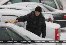 Первый снег привел к росту ДТП в Гомельской области