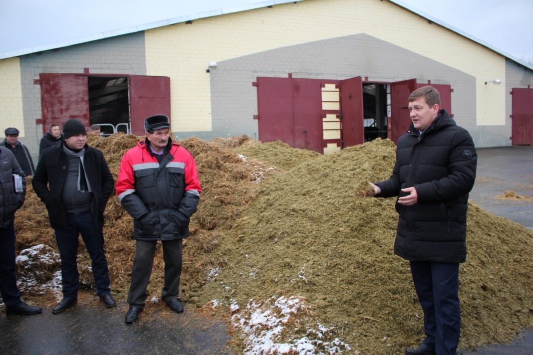 форма, 24, сельхозпредприятие, молоко, ферма, мясо