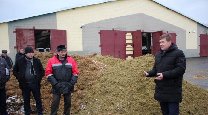 форма, 24, сельхозпредприятие, молоко, ферма, мясо