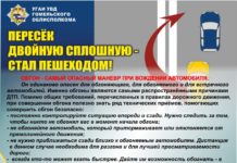 На территории Гомельской области проводится комплекс профилактических мероприятий «Встречная полоса»