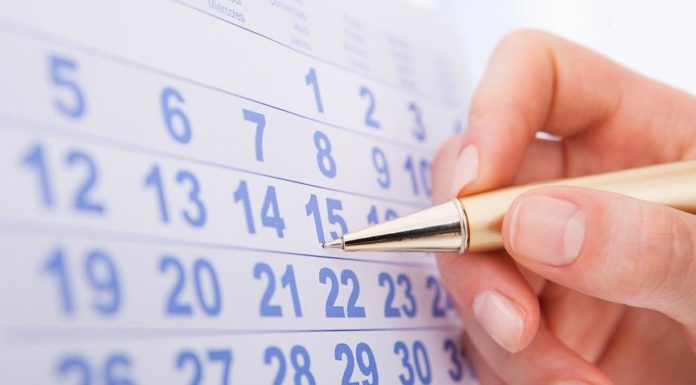 отпуска, график, охрана труда, лельчицы, инспекция