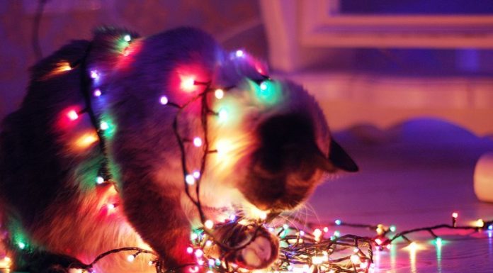 гирлдянды, энергоназдоз, безопасность, лельчицы