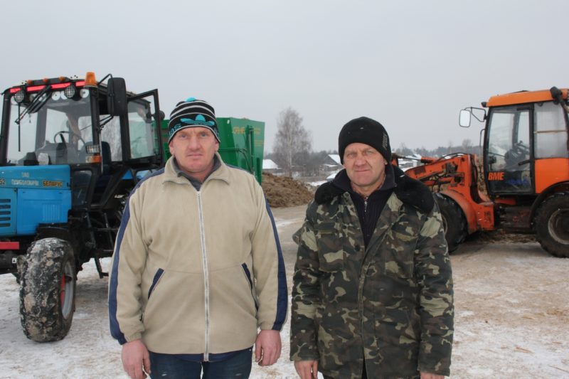 сельхоз, апк, приболовичи, ферма, животноводство