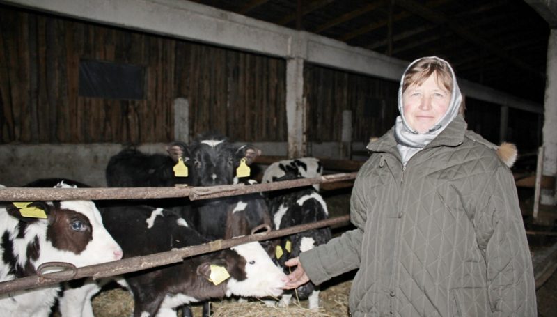 ферма, молоко, надои, приболовичи, сельхоз, апк