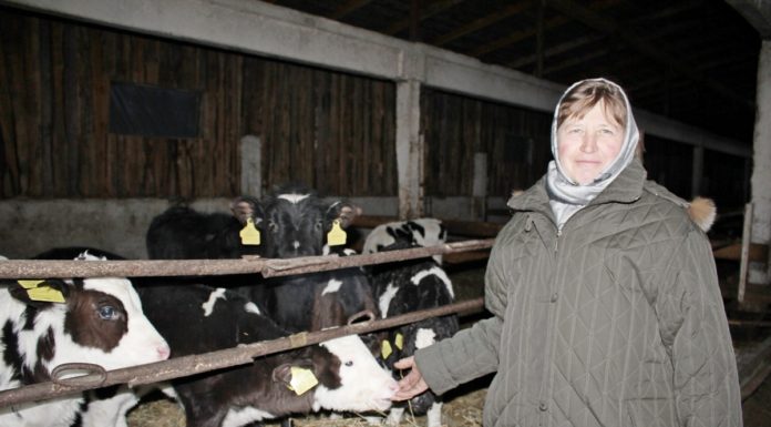 ферма, приболович, молоко, сельхоз, апк, надои