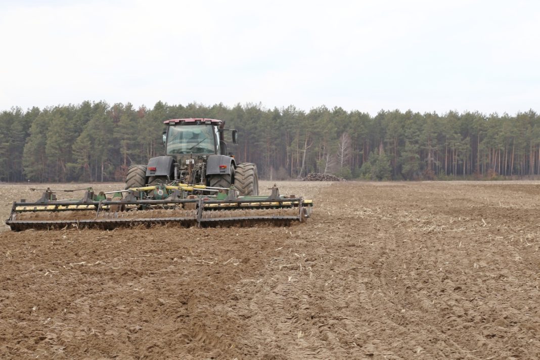посевная, сельхоз, лельчицы, район, весна