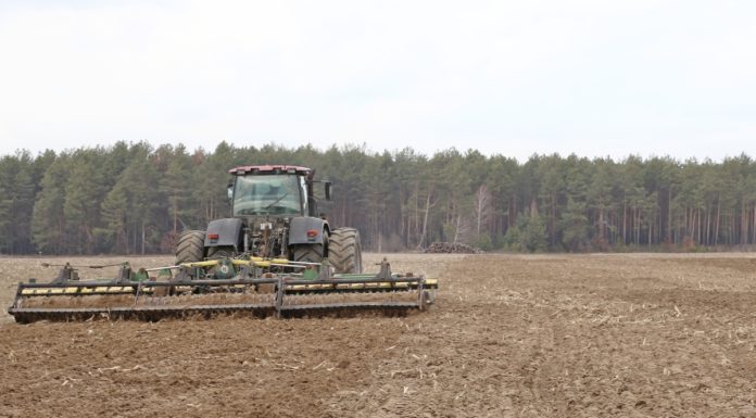посевная, сельхоз, лельчицы, район, весна