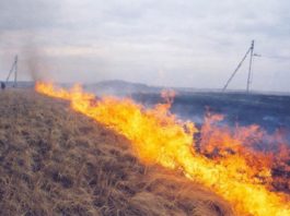 Пожароопасный период