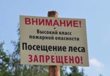 На территории Лельчицкого района введён запрет на посещение лесов