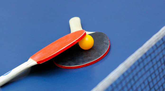 Настольный теннис, Лельчицкий район