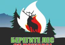 лес, пожар, безопасность, мчс