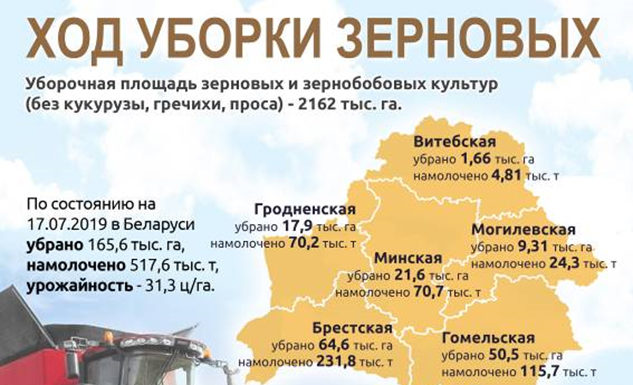 Инфографика