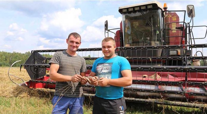 Комбайн, уборочная