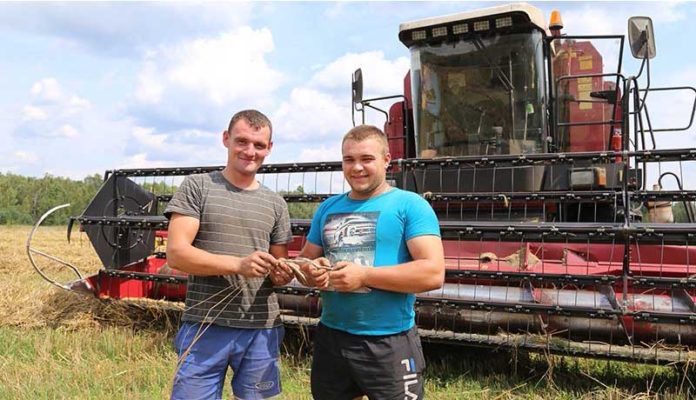 Комбайн, уборочная