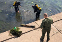 В Гомеле из Сожа достали немецкие артиллерийские снаряды времен войны водолазы,, спасатели